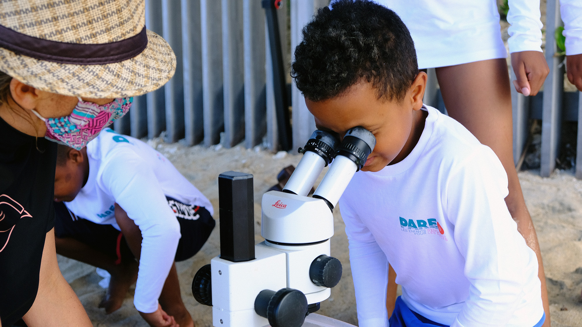 En attendant la randonnée aquatique, les enfants observent les polypes du corail à la loupe binoculaire