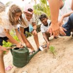Les élèves de l'Ecole du Nord de l'ïle Maurice ont choisi comme action de conservation de revégétaliser la plage. La végétation endémique limite l'érosion et maintient les dunes de sable qui filtrent l'eau de pluie avant qu'elle n'arrive sur le récif.