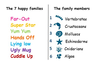Presentation of Family and members of the MARECO Happy Family Games